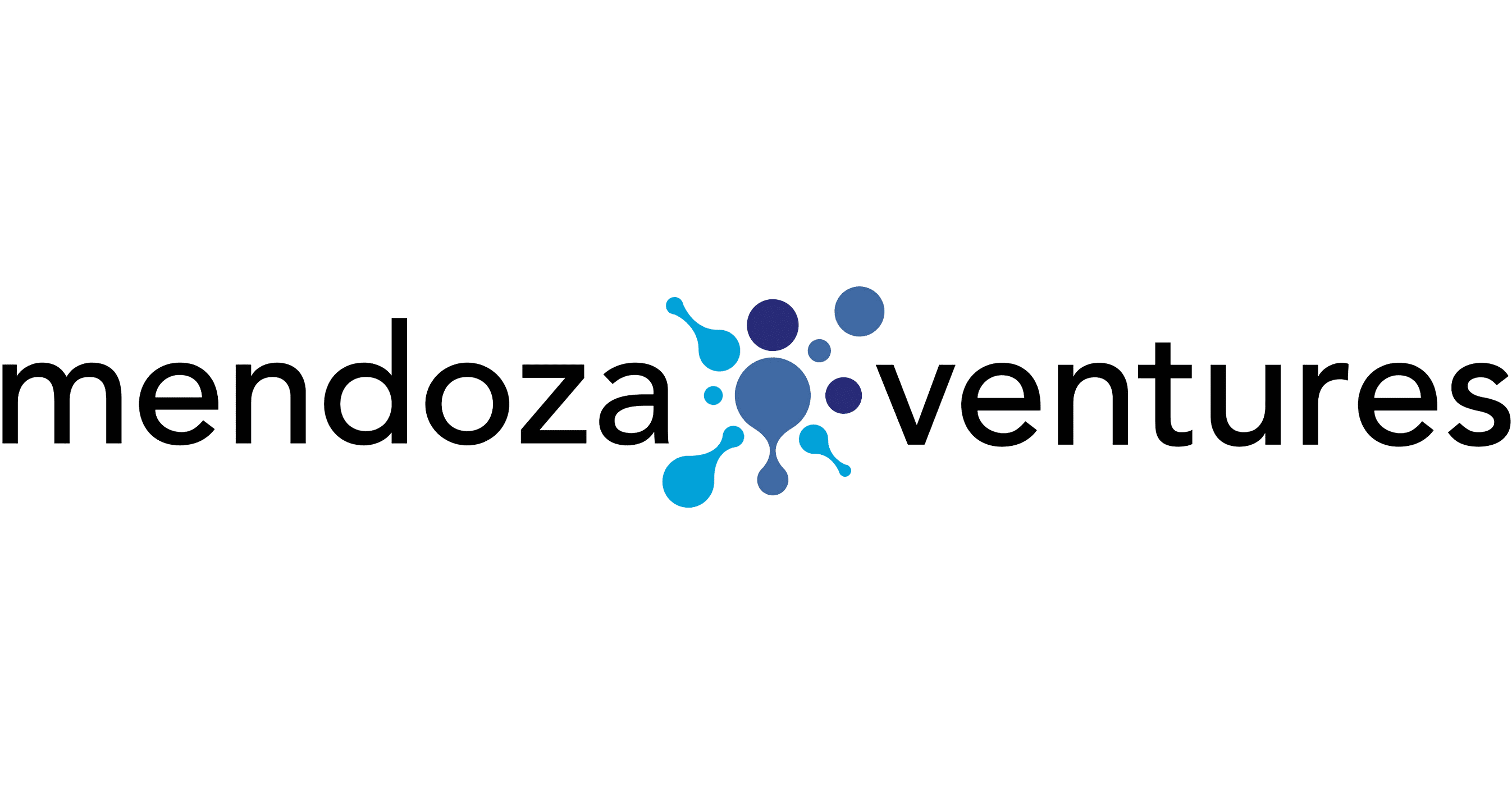 MVlogo_Logo